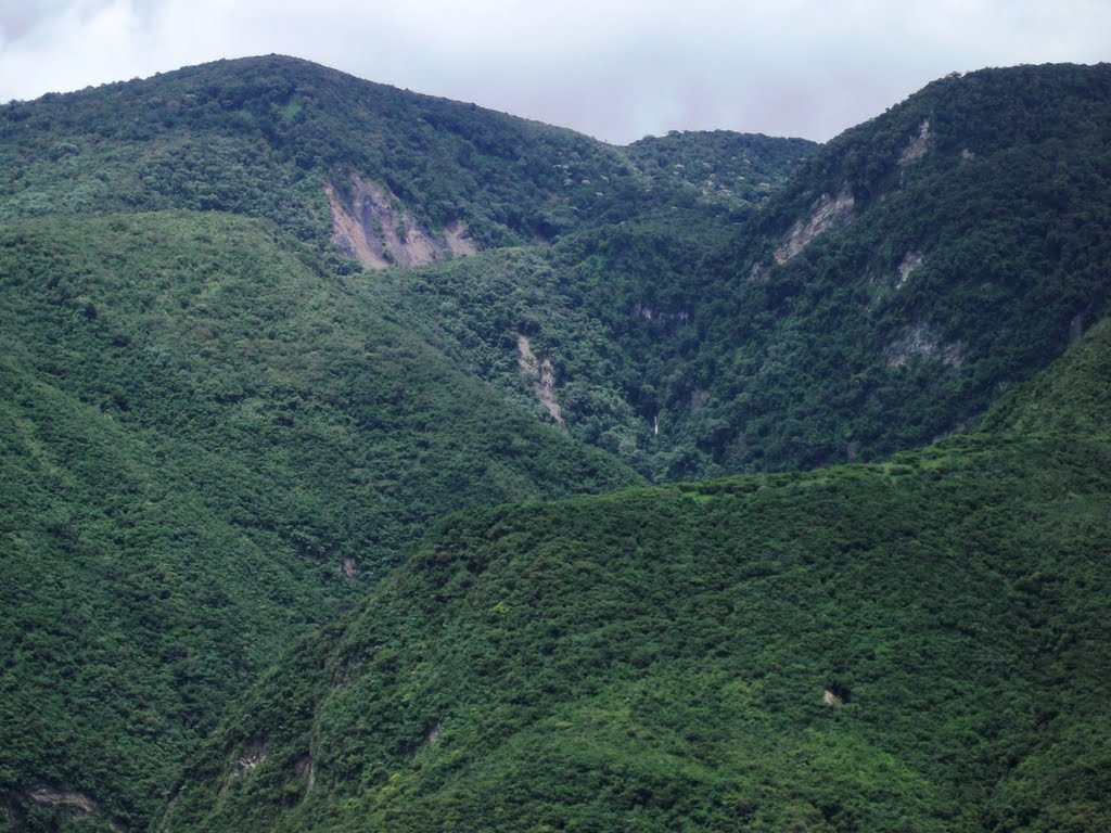 créditos a su autor