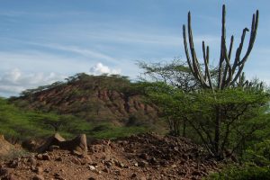 CRÉDITOS A SU AUTOR