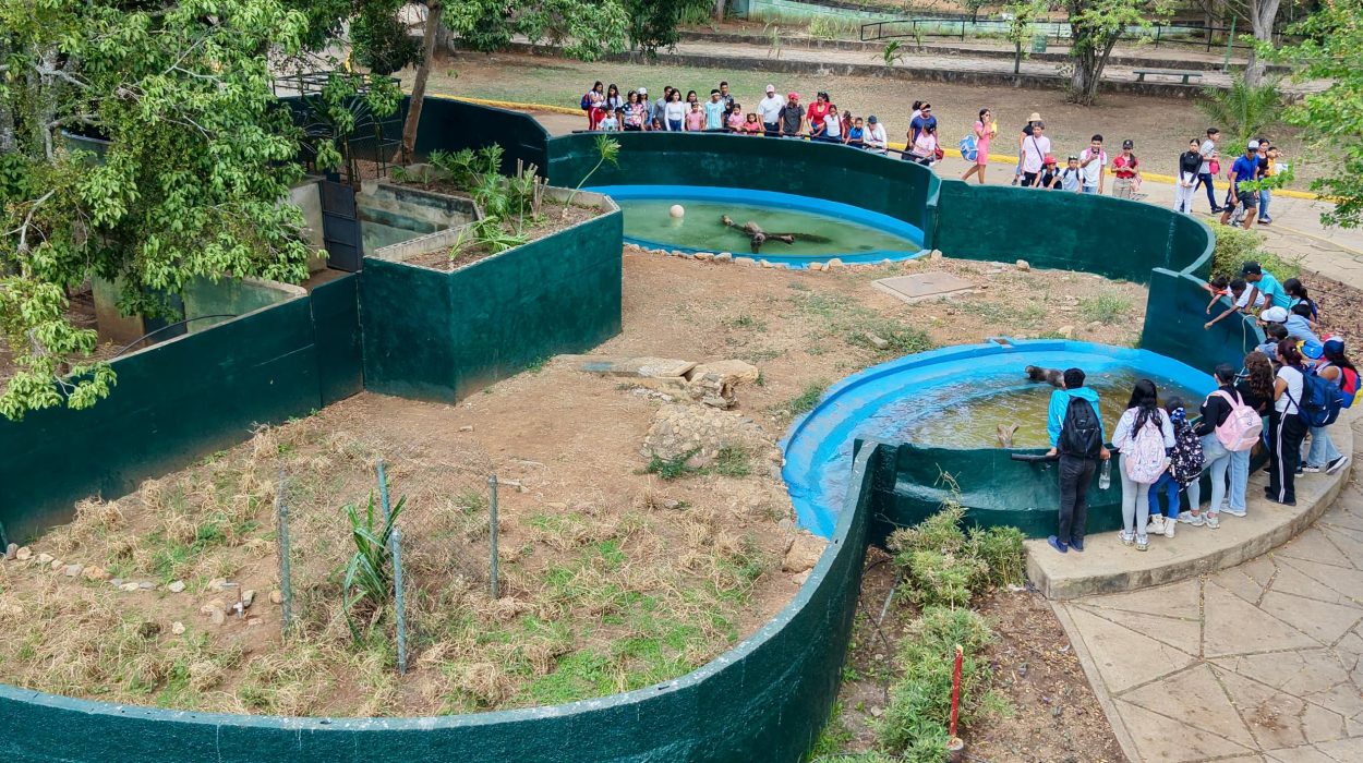 Imagen de WhatsApp 2025-11-02 a las 21.28.10_db7f2a09 Foto: MacondoWeb