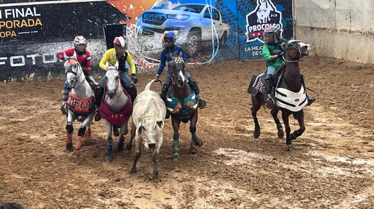 Foto: Gobernación de Lara