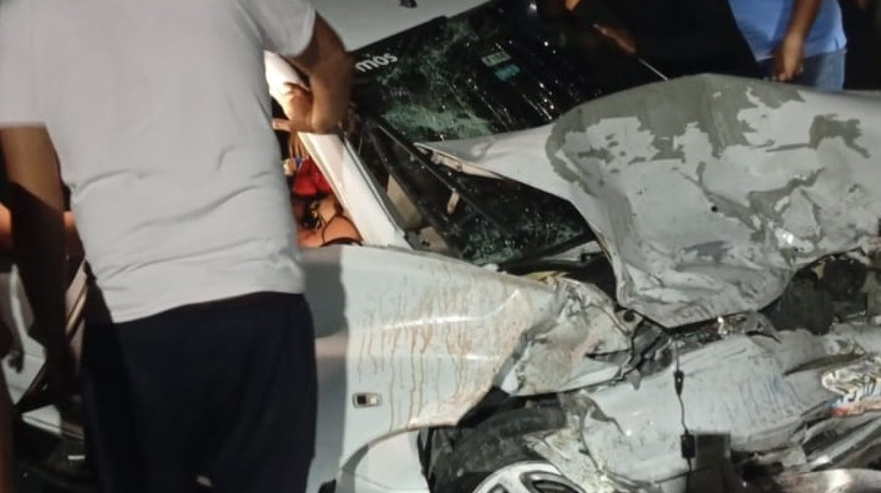 Imagen de WhatsApp 2025-11-23 a las 20.21.49_d9f599da