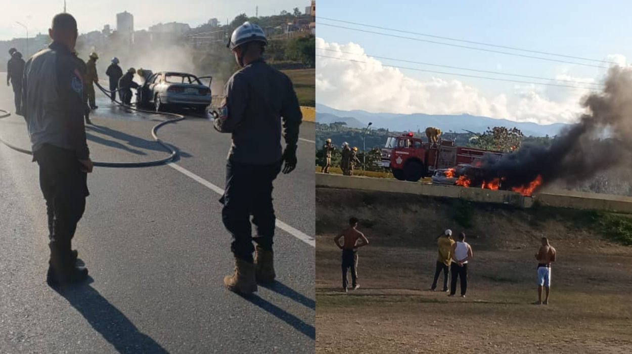 Polish_20251027_002918157