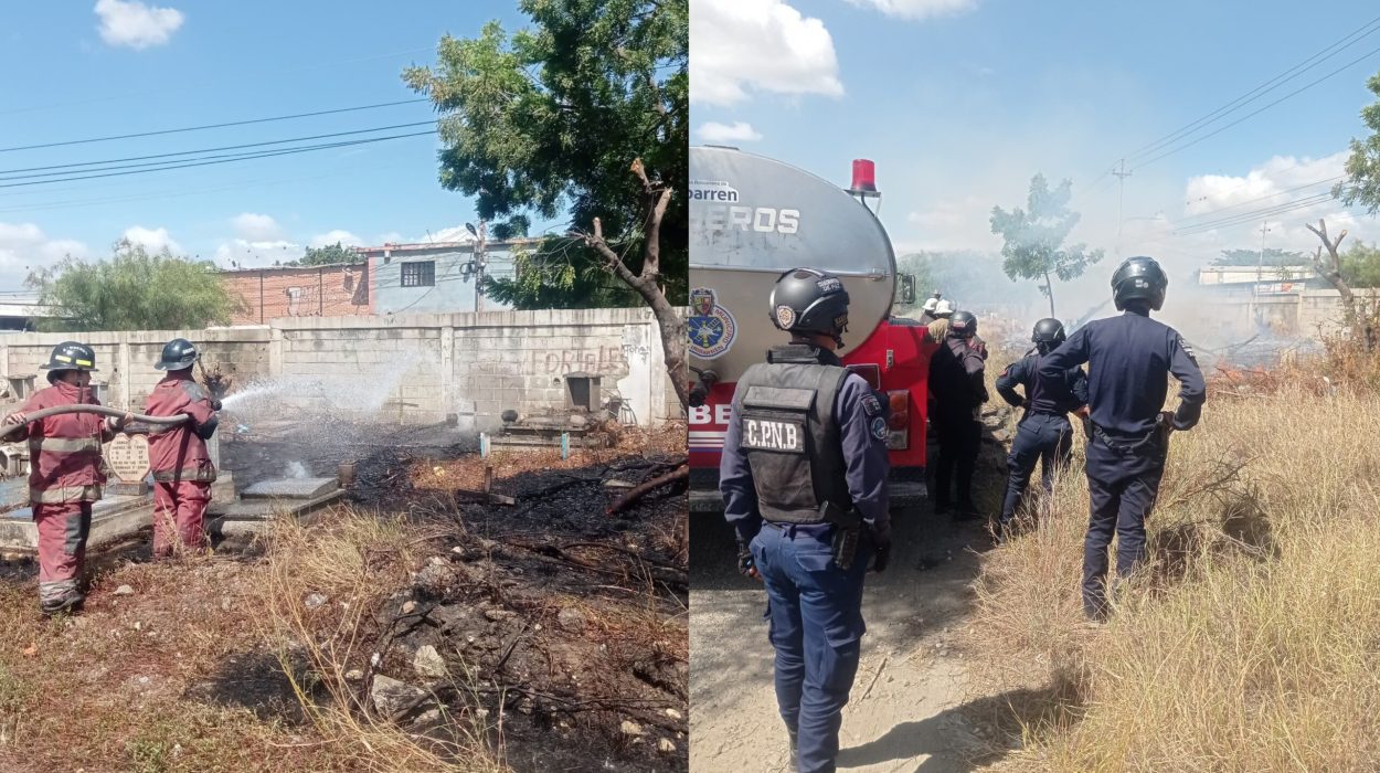 Polish_20251102_152811227