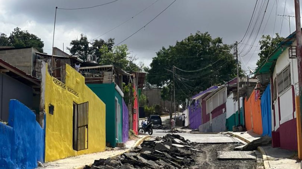 WhatsApp Image 2025-11-22 at 14.40.49