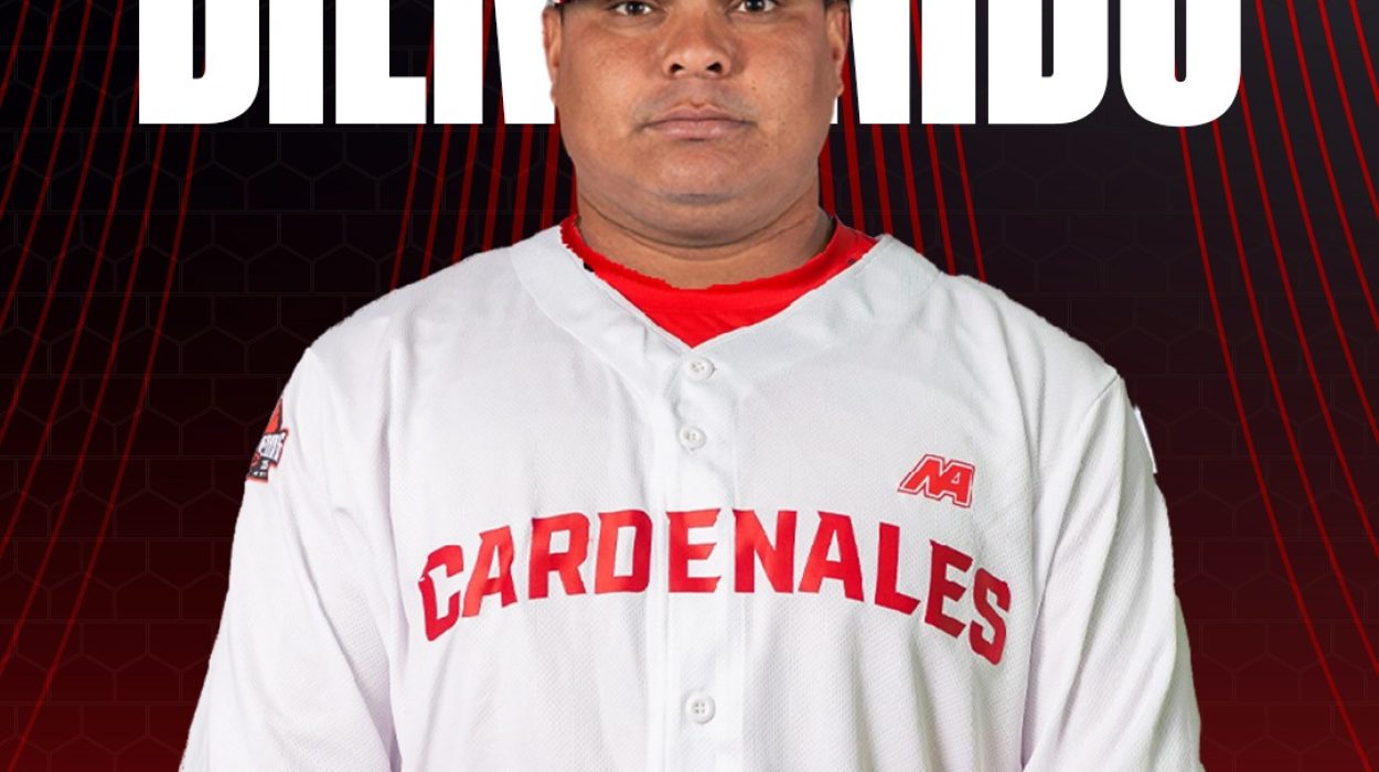 WhatsApp Image 2025-11-24 at 15.06.26