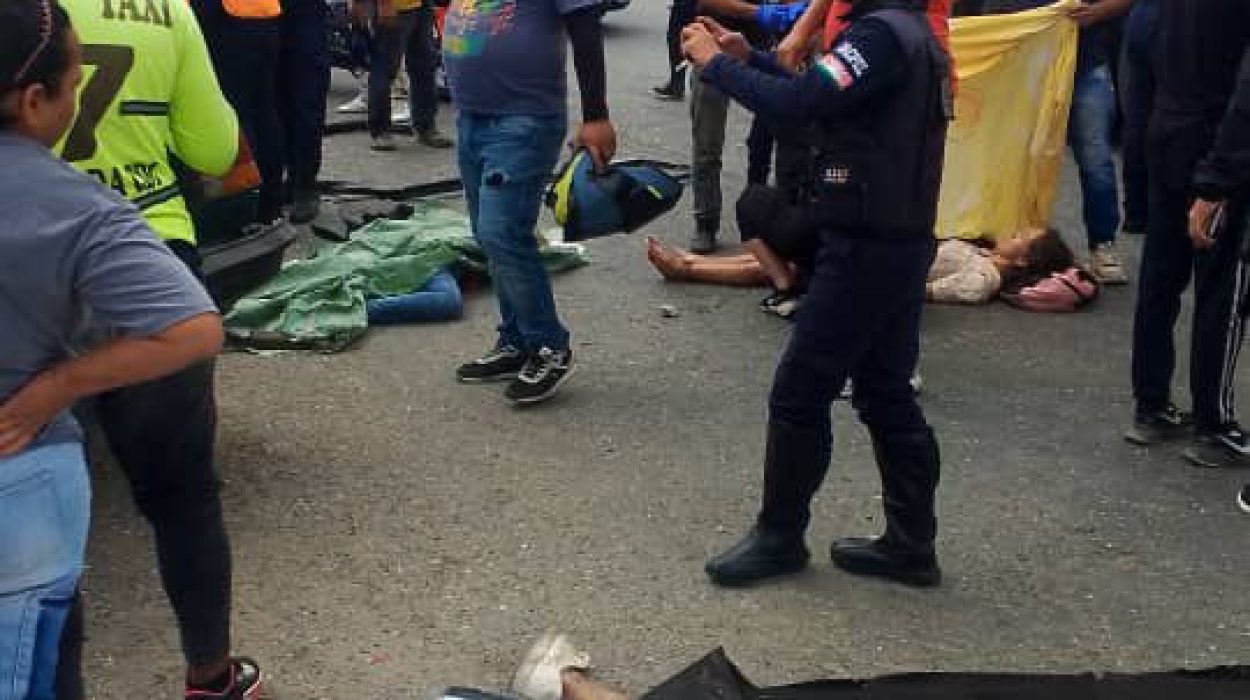 img-20251126-wa00417715972925184840360 img-20251126-wa00417715972925184840360