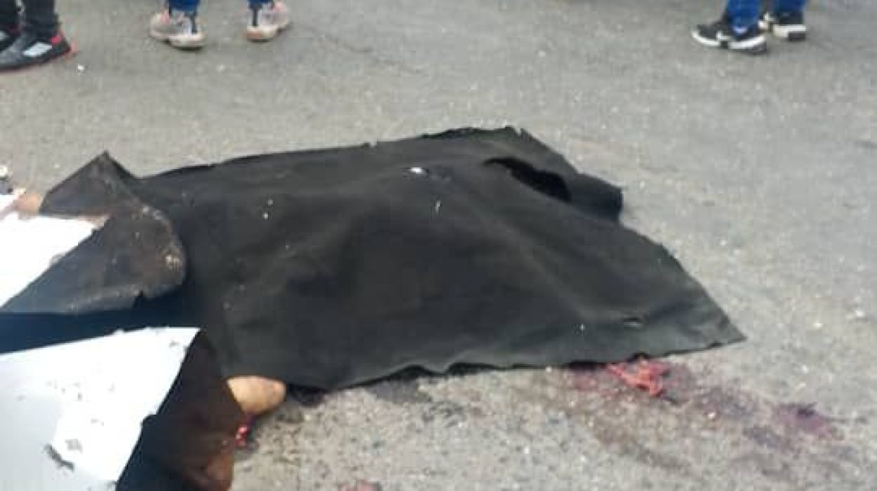 img-20251126-wa00432853537136822356539