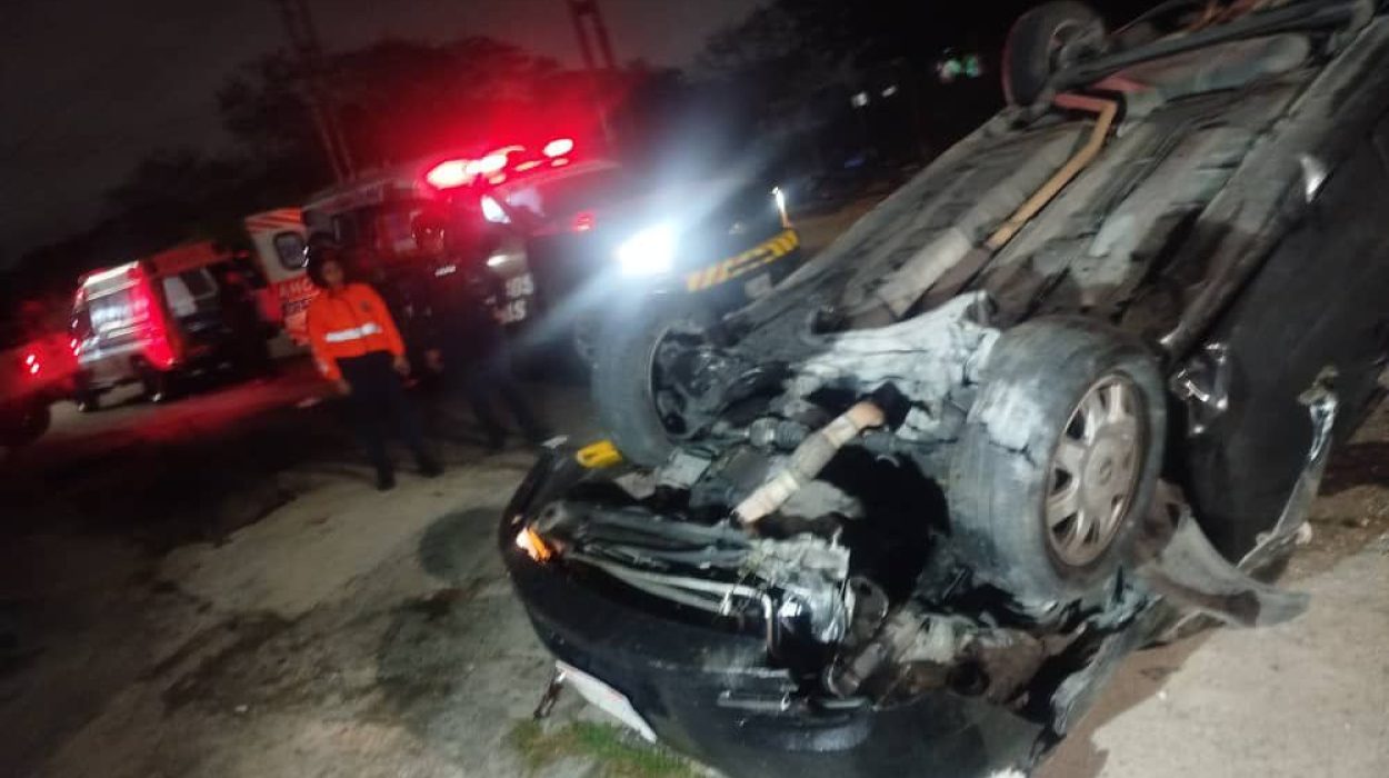 img-20251129-wa00048256179527058583361